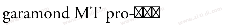 garamond MT pro字体转换